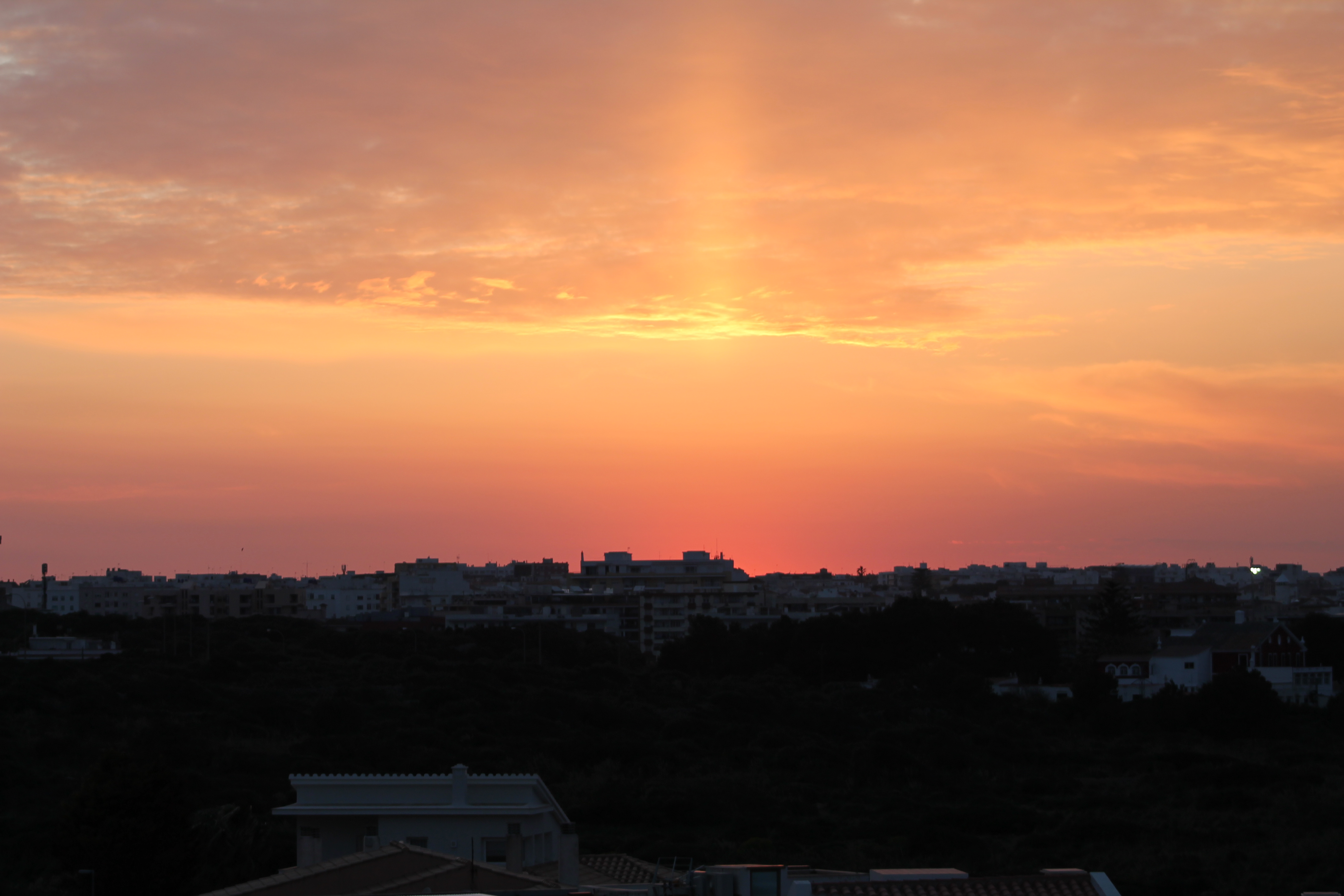 LazyHistorian Unknown